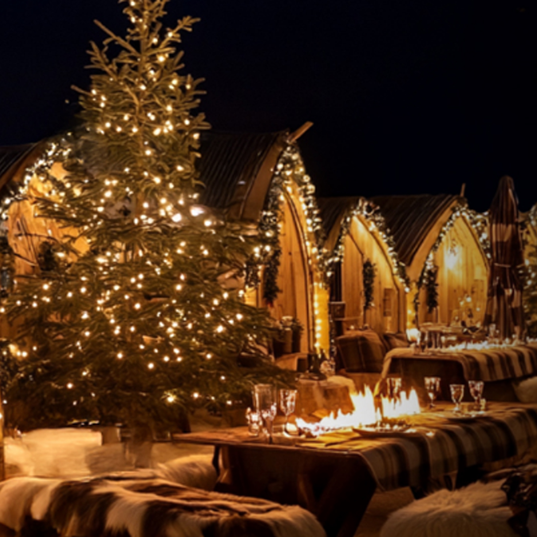 The Winter Nest: A Magical Alpine Retreat set in the Heart of the Desert